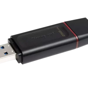 Kingston DataTraveler Exodia 256GB USB3.2 Gen1 Type-A Flash Drive