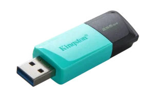 Kingston DataTraveler Exodia M 256GB USB3.2 Gen1 Type-A Flash Drive