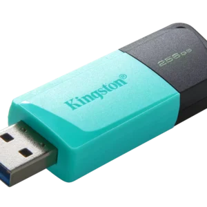 Kingston DataTraveler Exodia M 256GB USB3.2 Gen1 Type-A Flash Drive
