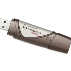 Kingston dtWS/128Gb WorkSpac