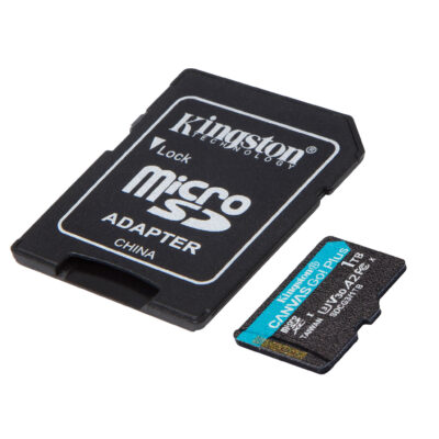 !!SDCG3/1TB miCrosdXc CanvaGo