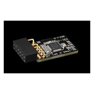 Gigabyte TPM module