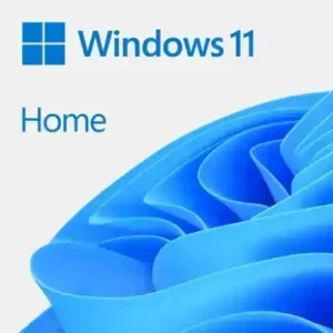 Ms Win11 Home Dsp 64bit