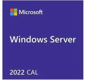Ms Dsp WinSer 2022 Cal-5Users