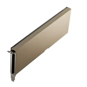 Pny Datacenter A10 24Gb D6